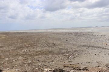 polluted beach with a lot of trash