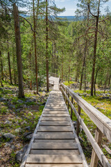 Fototapeta premium View of The Pyha-Luosto National Park in summer, wooden stairway, trees and rocks, Lapland, Finland