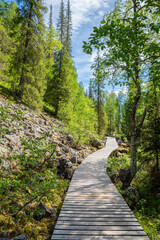 View of The Pyha-Luosto National Park in summer, wooden walkway, trees and rocks, Lapland, Finland