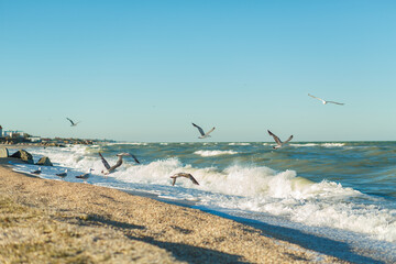 Sand beach line of the stormy sea a