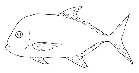 Obraz premium vector sea fish giant caranx black outline on white background. isolated element for fishing, menu fish design template. a series of fish to colour in