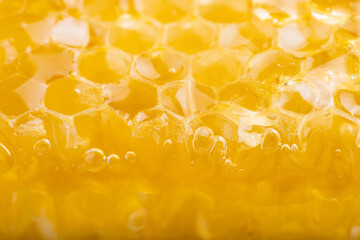 Organic honeycomb full of honey. Hexagonal texture, macro shoot