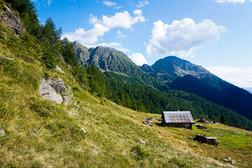 Fototapeta na wymiar Alp near Fusio in front of Pizzo Campo Tencia mountain range