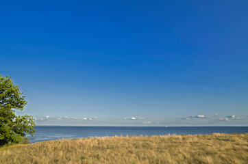 Steppe on the banks of the Volga