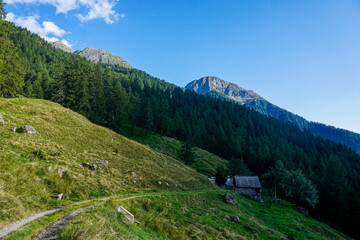 Fototapeta na wymiar The alp Vacarisc di Fuori near Fusio, Ticino