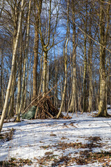 Abenteuerliche selbstgebaute Holzhütte im Wald 