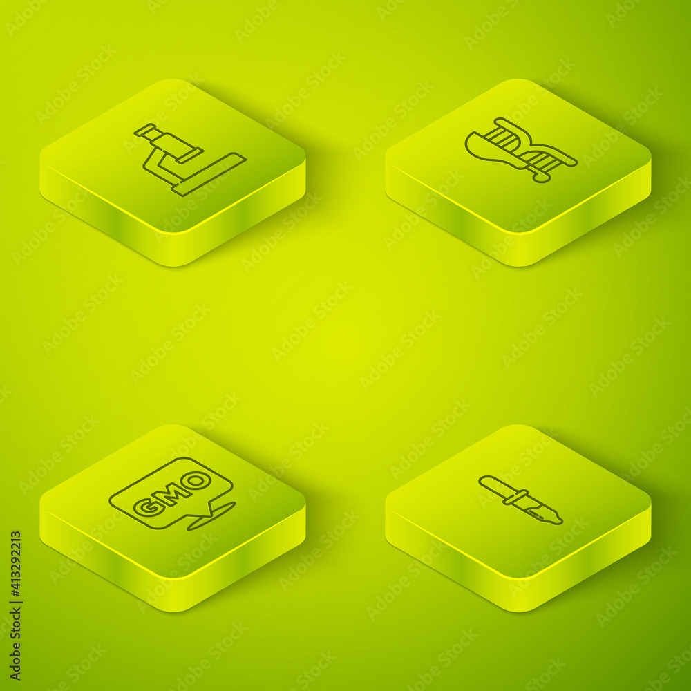 Poster set isometric line genetically modified chicken, gmo, pipette and microscope icon. vector.