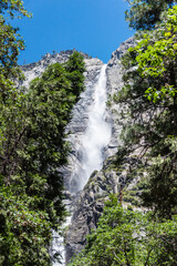 Obraz premium Wasserfall im Yosemite Nationalpark