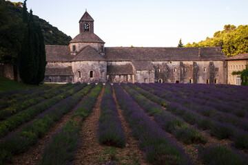 the abbey of senaque in provence 