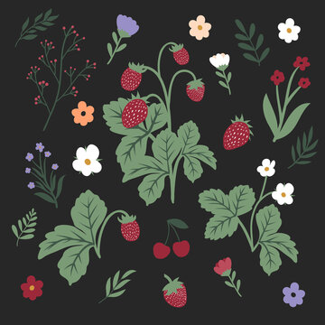 Wild Strawberries, flowers and leaves illustration set