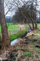 Fototapeta premium Small river in nature reserve in Loenen at boundary of IJsselvallei (IJssel Valley) and Veluewe near Groote Modderkolk.