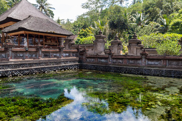 Fototapeta na wymiar Bassin d'un temple à Bali, Indonésie