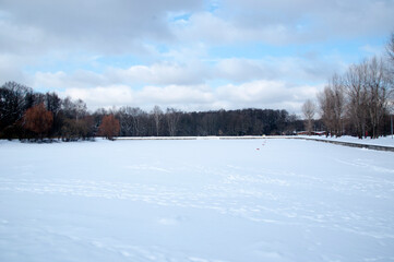 Fototapeta na wymiar Winter panoramic view of the city pond and trees. Winter day in the park.
