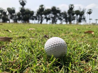 A white golf ball on a green lawn standing next to the player on the green.