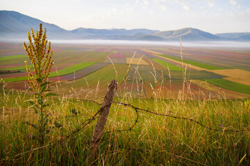 Beautiful summer landscape at Piano Grande (Great Plain) mountain plateau in the Apennine...