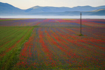 Beautiful summer landscape at Piano Grande (Great Plain) mountain plateau in the Apennine...