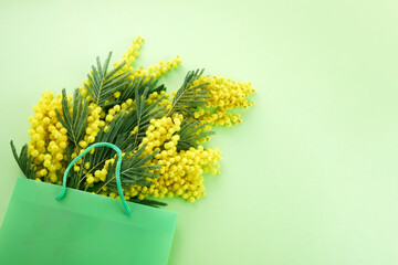 Shopping bag full of mimose flowers. Spring sale concept.