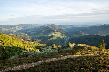 Naklejka premium Sunset at Belchen the most Beautiful Mountain of The Black Forest