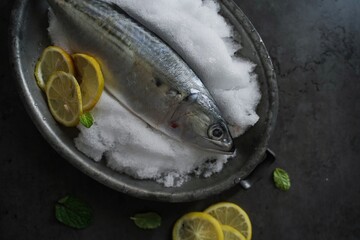 Fresh Mackerel placed on snow, overhead view with copy space