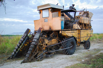 machine à récolter la canne à sucre, chambas, Cuba