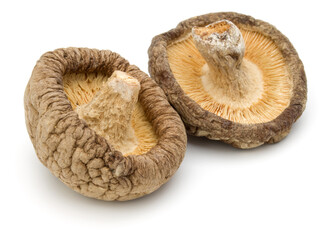 Dried Shiitake Mushroom isolated on white background