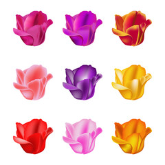 Set of buds of colorful tulips. Isolated over white background. Vector illustration.