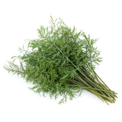 fresh green dill herb leaves bunch isolated on white background cutout