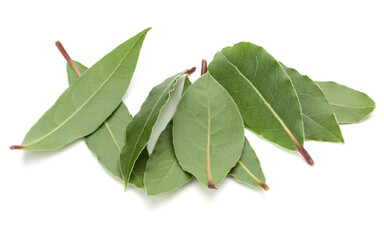 Aromatic bay leaves