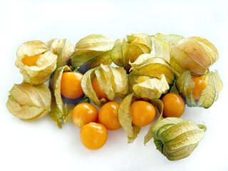 yellow,sweet round fruits of Physalis peruviana - inca berries plant