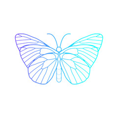 butterfly vector, can be used as a logo or t-shirt design or clothing