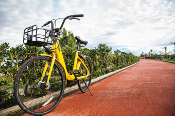 Yellow bike network rental stands on the red bike path. Bike sharing concept.