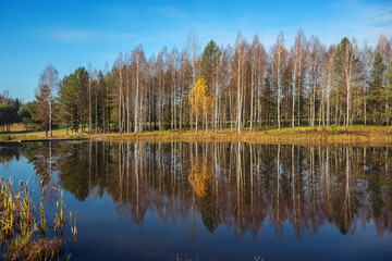 Autumn forest lake near golf field in Belarus