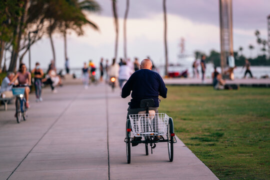 park elderly man old man bald bicycle panorama sunset miami beach - Powered by Adobe