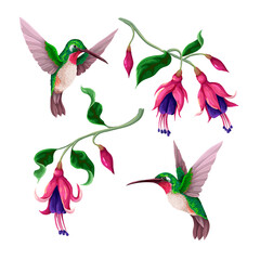 Hummingbirds and tropical flowers isolated. Trendy vector print
