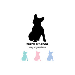 Fototapeta na wymiar french bulldog