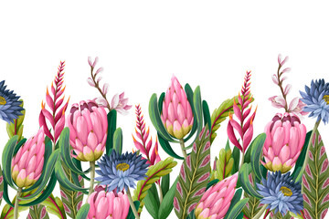 Border with proteas flowers. Trendy floral vector print. - obrazy, fototapety, plakaty
