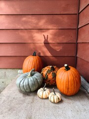 pumpkin hand peace sign