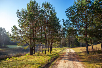 Fototapeta na wymiar Autumn forest lake near golf field in Belarus Minsk region