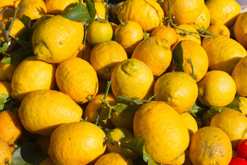 closeup of yellow lemons at fruit market in winter time