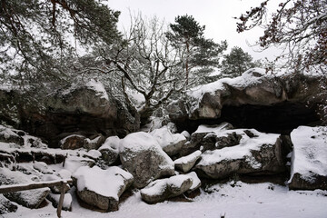 Fototapeta na wymiar wonderful landscape of the forest of fontainebleau under the snow