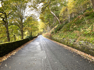 Naklejka premium Looking along, Midgehole Road, on a cloudy autumn day in, Hebden Bridge, UK