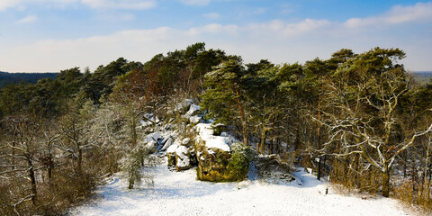 wonderful landscape of the forest of fontainebleau under the snow