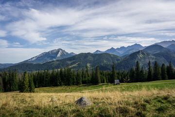 Sunny glade - Rusinowa Polana, Tatra Mountains, Poland © K. Skubala