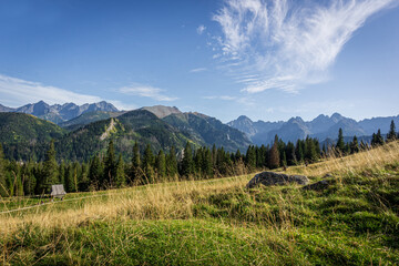 Sunny glade - Rusinowa Polana, Tatra Mountains, Poland
