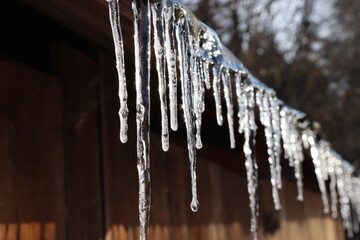 Icicles hanging from the roof.