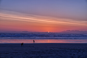Fototapeta na wymiar Two dogs are playing during Sunset at the Long beach near Tofino, Vancouver Island, Canada