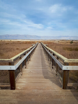 San Jose Boardwalk Looking Towards The Diablo Range Mountains