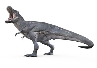 T-Rex, Tyrannosaurus rex, Big roar, 3D-Rendering