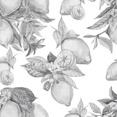 Lemons fruit branch with leaves and flowers tiles majolica provence. Watercolor illustration hand drawn patern seamless pattern. Sketch print textile vintage retro. Exotic