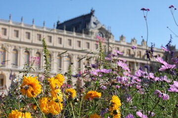 flowers on the background of Versailles France